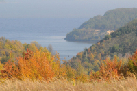 Trakhtemir Regional Landscape Park